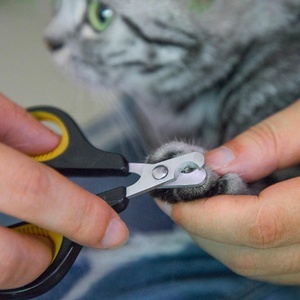 ที่ตัดเล็บสัตว์เลี้ยงสแตนเลสสตีลคุณภาพดี ทนทาน สำหรับแมวและลูกสุนัข - Product Image 3