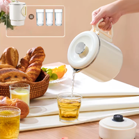 Mini-casserole électrique portable 1L avec fonction économie d'énergie pour la maison, l'hôtel, le dortoir, la voiture et l'extérieur, en acier inoxydable