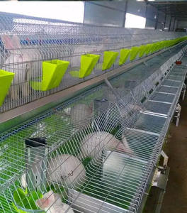 Coelho gaiolas/gaiola lapin/coelho agricultura equipamentos - Product Image 3