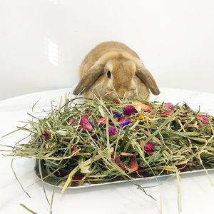 Toutes les herbes naturelles Timothy Hay Rabbit <span class=keywords><strong>Gourmet</strong></span> Hay Food Exclusive Treat Hay Flowers and Herb Blend for Rabbits Cochons d'Inde - Product Image 6