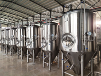 Machine à bière untank 1000 2000L 3500L 5000L fermenteur et réservoirs de bière lumineux