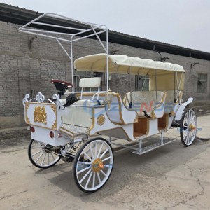 Charrette de tourisme sans chevaux personnalisée, blanche haut de gamme, disponible en couleurs sur mesure, pour mariages et visites touristiques - Product Image 2
