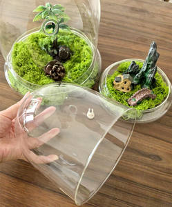 Contenitore <span class=keywords><strong>moderno</strong></span> <span class=keywords><strong>in</strong></span> <span class=keywords><strong>vetro</strong></span> trasparente per terrario con Base Airhole per casa Display da tavolo Cloche Dome per il <span class=keywords><strong>centrotavola</strong></span> fiore vegetale - Product Image 5