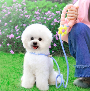 Retractable Solid Eco-Friendly Dog Leash Anti-Pull Training Escape-Proof Nylon with Scarf Lace Rivet for Small/Medium/Large Dogs - Product Image 2