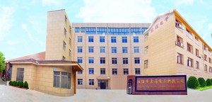 SF-923 1 tấn/100g kỹ thuật số cần cẩu quy mô nhà máy lựa chọn điện tử Công Nghiệp Treo quy mô với màn hình LCD hiển thị OEM hỗ trợ - Product Image 2