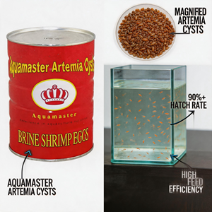 Prix de gros usine Qualité supérieure Bohai bbs Cystes d'artémia Œufs de crevettes de saumure Aliment pour poissons riche en protéines Vitamines Minéraux Tout-en-un - Product Image 3