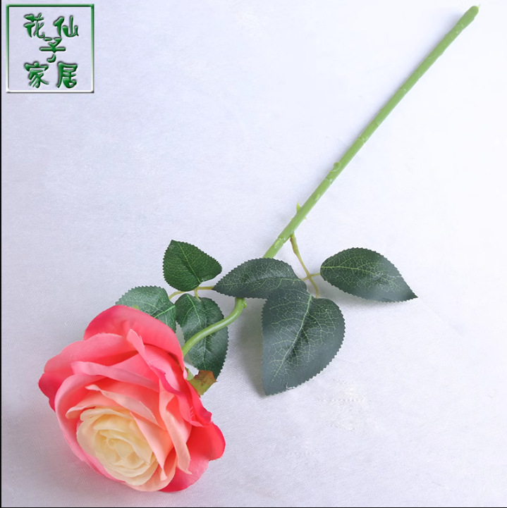 Rosa singola rossa