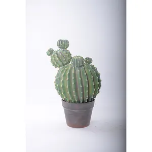 Popular Design Sliver Type Cactus Artificial Succulent Cactus for Decor