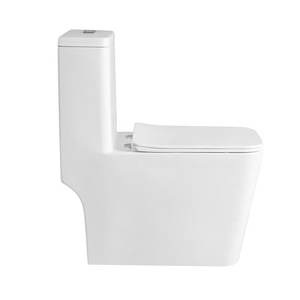 <span class=keywords><strong>WC</strong></span> monobloc en céramique grand format sur pied avec abattant UF pour salle de bain - Product Image 3