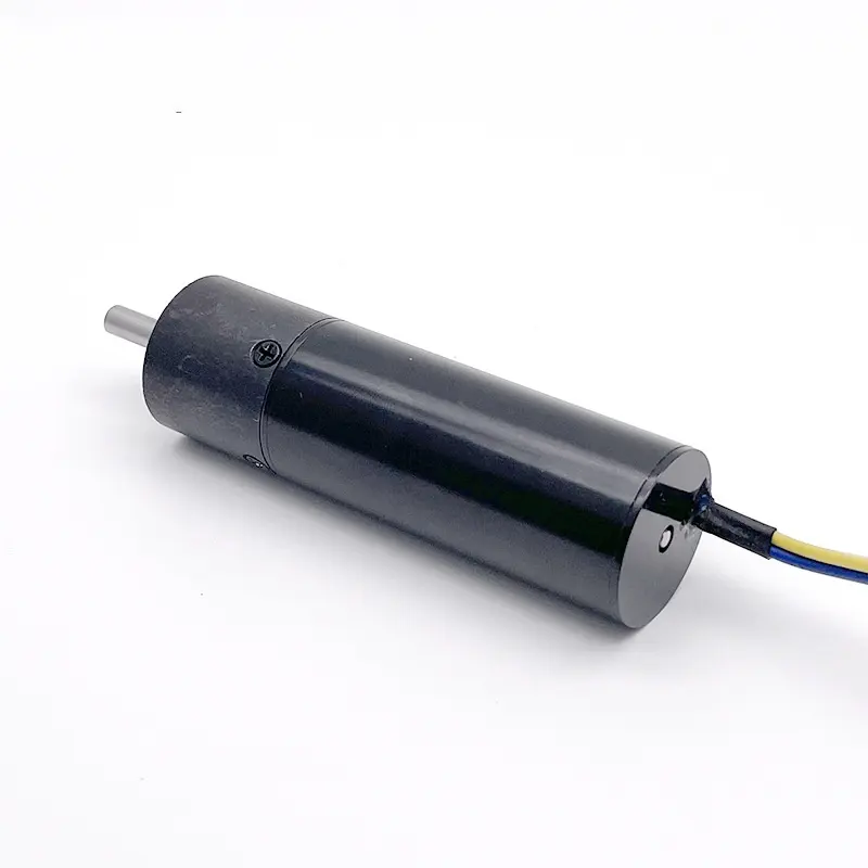 Fabriekslevering Micro Dc Borstelloze Motor 36Mm 12V 24V Vertragingsmotor