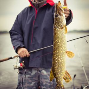 Fil tressé <span class=keywords><strong>Invisible</strong></span> Super Résistant <span class=keywords><strong>de</strong></span> Haute Qualité Angryfish Wholesale 300m, Monofilament <span class=keywords><strong>de</strong></span> Nylon Flottant à Pointe Coulissante - Product Image 6