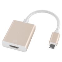 Câble Type C vers HDTV 4K en alliage d'aluminium plaqué or blindé, mâle vers femelle, accessoires électroniques