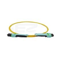 Kabel Patch Trunk Single Mode MPO ke MPO OS2 12 Core 9 125 Fiber Jumper untuk Jaringan Pusat Data Berdensitas Tinggi