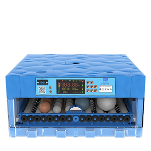 Warme Kubus Volautomatische Intelligente Kleine Incubator Hoog Plastic Voor Kippeneend Ganzenduif Ei Incubatie Huishoudelijk Gebruik - Product Image 1