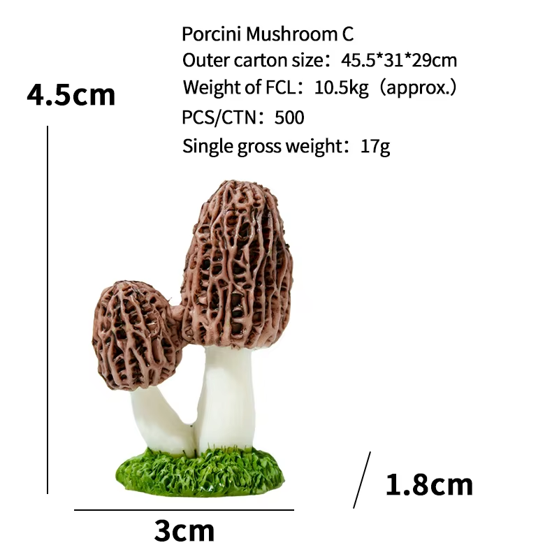 Champignon Porcini C