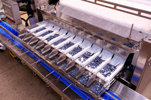 Máquina clasificadora de frutas <span class=keywords><strong>electronica</strong></span> para báscula de embalaje de arándanos con caja de plástico de VSEE Company - Product Image 3