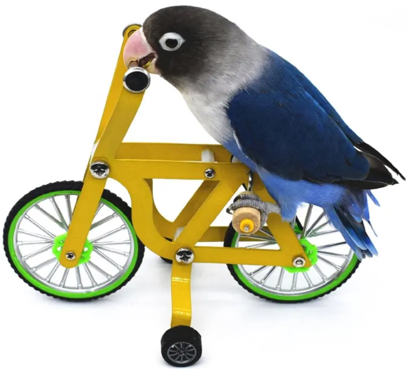 Mini luce non caduta a quattro ruote giocattolo per uccelli pappagallo intelligenza formazione giocattolo interattivo divertente Puzzle bicicletta