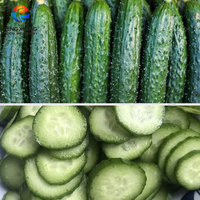 Eenvoudig te verwisselen transportband Calabash Luffa Aubergine Komkommer Snijmachine Courgette Snijmachine