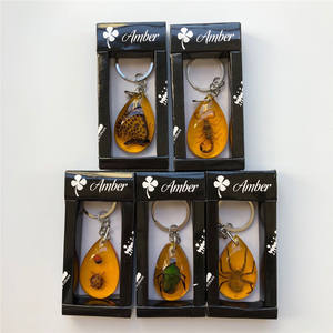 Directo de fábrica Real insecto espécimen ámbar llavero colgante regalo joyería mariquita mariposa escarabajo escorpión resina encantos llavero - Product Image 1