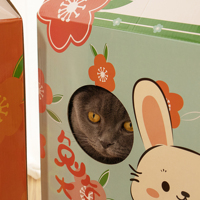 Écologique Champignon Conception Chat Grattoir Boîte Maison Interactive Intérieur Pet Chat Jouet Directement Fabriqué pour Chats Love Scratch