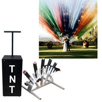 Canon à confettis et feux d'artifice colorés pour mariage, déclencheur TNT, ensemble en rangée unique en forme d'éventail, pour révélation du sexe, scène de mariage et fête