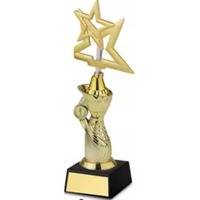 Trophée d'entreprise moderne en cristal de qualité supérieure, écologique, avec gravure personnalisée pour projet d'équipe exceptionnel