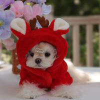 Jupe Classique pour Animaux de Compagnie à Motif Uni pour Petits Chiens/Chats – Confortable, Respirante, en Polyester, Toutes Saisons – Vente en Gros