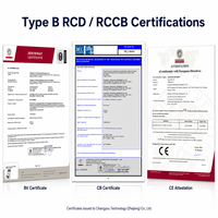 Interruptor Diferencial Residual (RCD) Tipo B de 2 Polos, 10KA, 63A, 30mA, 300mA, para Riel DIN, 10KA para Carga de Vehículos Eléctricos y Sistemas Solares, CB/CE Chayo