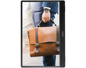 <span class=keywords><strong>Moniteur</strong></span> <span class=keywords><strong>portable</strong></span> <span class=keywords><strong>MSI</strong></span> PRO MP161 IPS 15.6 pouces avec résolution de panneau 1920x1080 (FHD) 53% SRGB 250cd/m2 de luminosité - Product Image 3