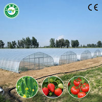 Serre tunnel agricole Guangyuan multi-chapelles en PE à double couche avec structure en acier galvanisé pour la culture de légumes