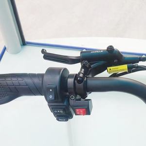 Vélo électrique à <span class=keywords><strong>4</strong></span> <span class=keywords><strong>roues</strong></span> 750w avec boîte de livraison de cargaison arrière - Product Image 4