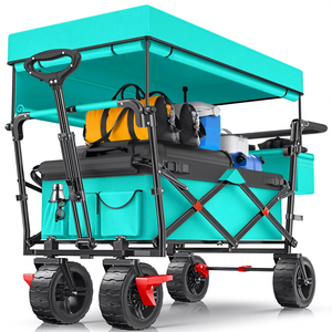 Carrito Plegable con Toldo para Niños, Carrito de Empuje y Arrastre - Product Image 1
