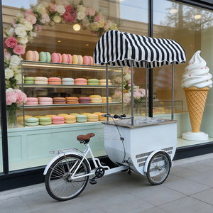 Gelato Display Ice Cream Towable Push Vending Cart with Freezer Ice Cream Vending Cart for Outdoor Use - Product Image 6
