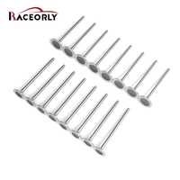 Katup Mesin Raceorly untuk BMW N20 2.0T Set Intake/Exhaust, Supplier China Raceorly