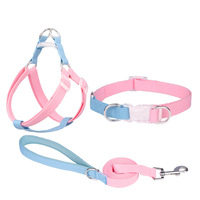 Harnais pour chien Y Dog, accessoires pour animaux de compagnie, collier pour chien, laisse, ensemble de harnais, sangle en polyester, harnais de sport pour chien