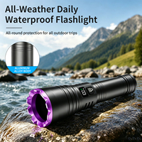 Lampe torche UV portable 365 nm avec indicateur de puissance numérique et horloge, en alliage d'aluminium, pour la détection d'urine de chien, de jade et de faux billets