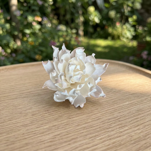 Bulk 6 cm Sola Wood <b>Reed</b> <b>Diffuser</b> Home Decorative Flowers White Environmental Friendly Indoor Wedding Valentine's Day Advantage - Product Image 2