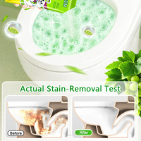 Poudre nettoyante pour cuvettes de toilettes OEM, éliminateur de taches et d'odeurs