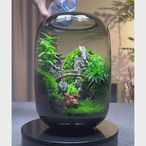Modernes Bauernhaus Design Zen Garden <span class=keywords><strong>Terrarium</strong></span> Kit mit Lampen faser Material Boden Desktop Usage Home - Product Image 3