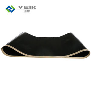 Courroie <span class=keywords><strong>de</strong></span> transmission prise en charge OEM Machine <span class=keywords><strong>de</strong></span> fusion en <span class=keywords><strong>fibre</strong></span> <span class=keywords><strong>de</strong></span> <span class=keywords><strong>verre</strong></span> revêtue <span class=keywords><strong>de</strong></span> PTFE sans couture personnalisable - Product Image 4
