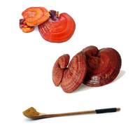 Miracle Boosterwhitening Verbeteren Pigmentatie Reishi Paddestoel Extract Ganodermalucidum Rainwood Poeder Capsule