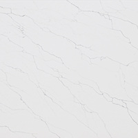 Plaque de quartz S1004 Off White, teinte constante d'un lot à l'autre, projets B2B