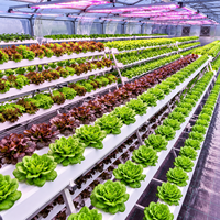 Système hydroponique automatique NFT Skyplant de grande taille avec pompe pour l'agriculture écologique et le jardinage vertical