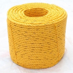 India Factory Custom Packaging PP Danline Twist <b>Fishing</b> Ropes 4mm Diameter Anti-UV Water-proof High Tensile <b>Floats</b> - Product Image 2