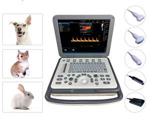 Ecógrafo Portátil de Alta Calidad, Ecógrafo Veterinario Portátil Todo en Uno, Ecógrafo Portátil para Animales - Product Image 5