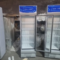Vitrine Réfrigérée Verticale de 388 L, 5 Niveaux, Éclairage LED, Porte Vitrée Simple pour Boissons, Réfrigérateur d'Affichage pour Supermarché