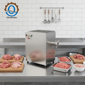 Nouvelle vente flash - Hachoir à viande électrique avec système de protection de sécurité, capacité de 360 kg/h, 220V/380V - Product Image 1