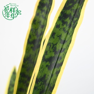 Planta Artificial de <span class=keywords><strong>Sansevieria</strong></span> con Borde Amarillo Realista, 32 Hojas, 96 cm, para Decoración de Casa, Oficina, Centro Comercial, Sala de Estar, Hotel y Comercios - Product Image 2
