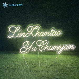 Letrero Luminoso LED de Neón con Control Bluetooth, Diseño Personalizado Gratuito, para Publicidad, Fiestas de Cumpleaños, Decoración del Hogar, Dropshipping - Product Image 2