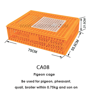 Boîtes de transport pour Pigeon, Cage à Pigeon à bas <span class=keywords><strong>prix</strong></span> à vendre <span class=keywords><strong>des</strong></span> caisses en plastique agricole - Product Image 3